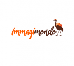 Nuovo logo immagimondo Instagram