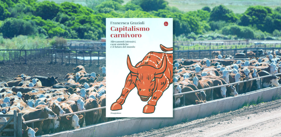 Capitalismo carnivoro