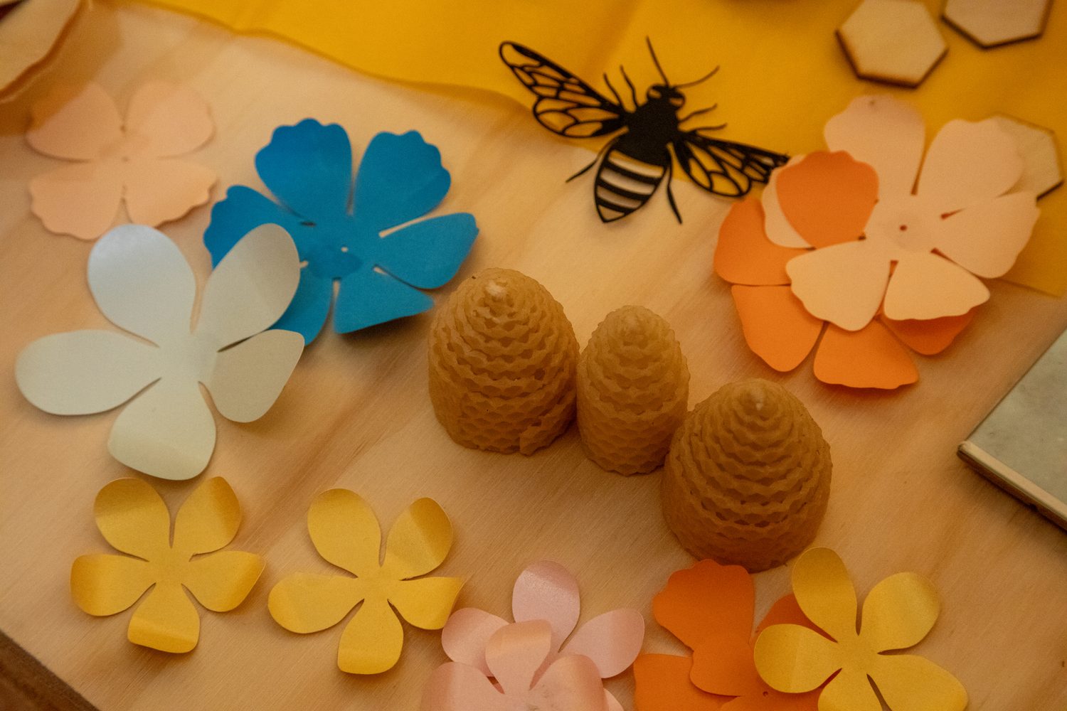 Fiori e favi di cera su un tavolo