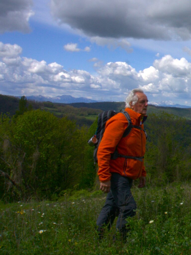Stefano Lorenzi